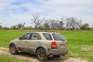 Moremi Game Reserve / Chobe NP / Botswana