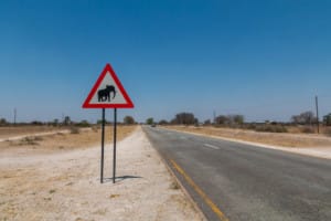 Caprivi Game Reserve / Namibia