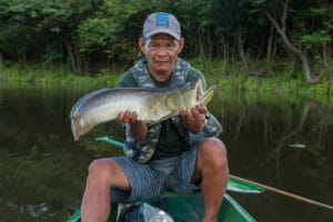 Mamirauá reserve / Brazil