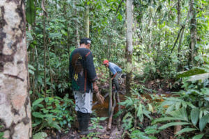 Ayahuasca retreat / Iquitos / Perú