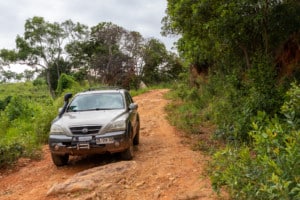 D30 ten oosten van Chiweta / Malawi