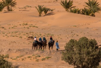 Deze toeristen hadden een tour door de duinen per kameel geregeld.