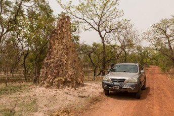 In dat park, Niakolo Koba hebben ze o.a. enorme termieten nesten. Die ze kathedralen noemen.