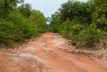 Ik reed zo snel ik kon het land uit, via deze weg naar Guinea Bissau.