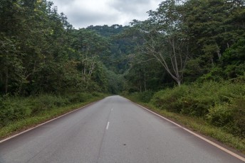 Gabon is voor ongeveer 80% bedekt met tropisch regenwoud, dus het grootste deel van de rit zag ik dit door de voorruit.