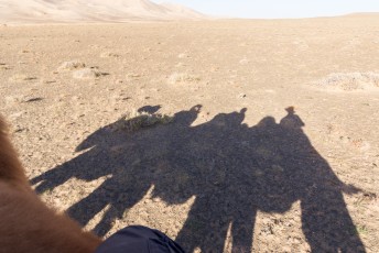 Op een kameel in de woestijn, en de zijde route schijnt hier ook nog in de buurt te zijn. Het kan niet op.