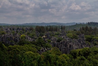 Stone Forest volgens de Chinezen het eerste wereldwonder.