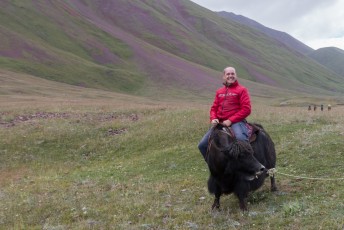 Ik heb de afgelopen jaren al op heel wat verschillende beesten gezeten, maar een yak ontbrak nog. Check!
