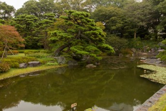 japanse tuinen, ook leuk voor thuis natuurlijk