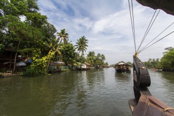 Twee dagen cruisen over de backwaters van Kerala.