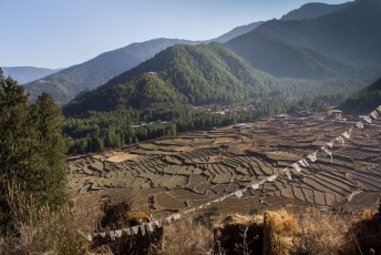 Uitzicht op de landbouwterrassen vanaf de dzong.