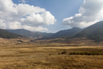 In februari komen de Black Necked Cranes vanuit Tibet naar deze vallei.