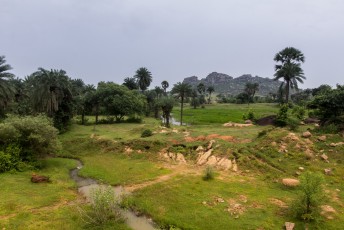 Het landschap ten noorden van Calcutta.