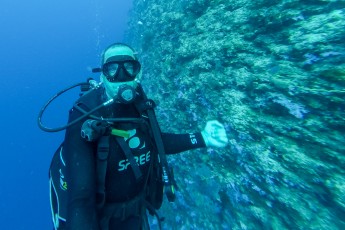 Dit is beroemde whitewall van het Rainbow Reef, slechts 2 keer per maand kan er op gedoken worden.