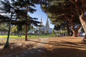 er zijn veel parken in San Francisco