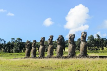 deze Moai stellen de 7 eerste mensen (Polynesiërs) voor die het eiland ontdekten