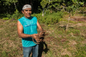We hadden flink van de ayahuasca gesnoept dus er moest nieuwe gebrouwen worden. Dit is het belangrijkste ingrediënt, hout van een specifieke liaan.