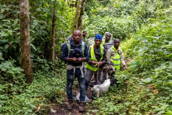 Die dag gingen we met 9 man personeel en een geit de vulkaan Nyiragongo op (de geit wist nog niet dat hij het avondeten was voor de soldaten die halverwege kamperen om de berg te beveiligen).