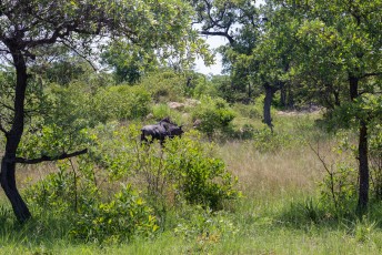 Wij waren daar echter niet voor standbeelden maar voor het Matobo National Park.