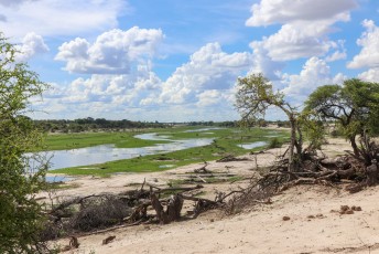 Hippopool is in dit park een uitloper van de Okavangadelta.