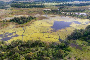 De Okavanga delta wordt gevoed door de Okavanga rivier, en al het water verdampt uiteindelijk in de Kalahari.