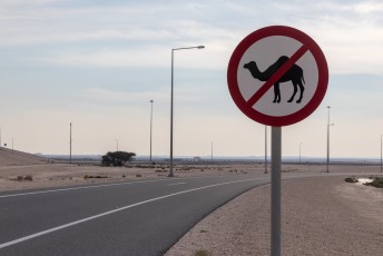 Ik ben benieuwd hoe hoog de boete is als je met een kameel de autobaan opgaat. Verkeerd voorsorteren kost immers al 1500 euro kwam ik achter.