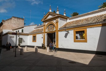 Palaciao de Dueñas, één van de belangrijkste historische huizen uit de 15de eeuw . O.a. Antonio Machado Ruiz, een poëet is hier geboren.