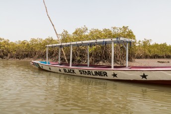 Ondertussen ging ik met een luxe boot het mangrovewoud van dichtbij bekijken.