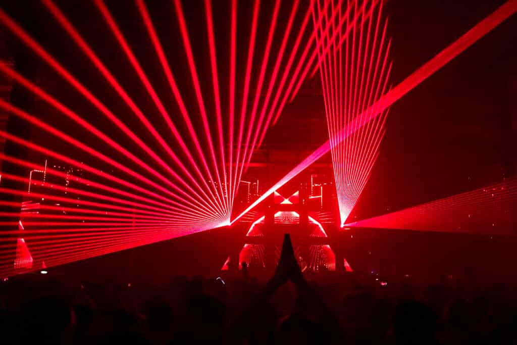 Party jungle