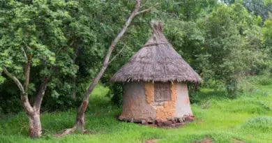 Typische hut, foto uit het fotoalbum Mali op www.edvervanzijnbed.nl.