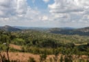Mille Collines